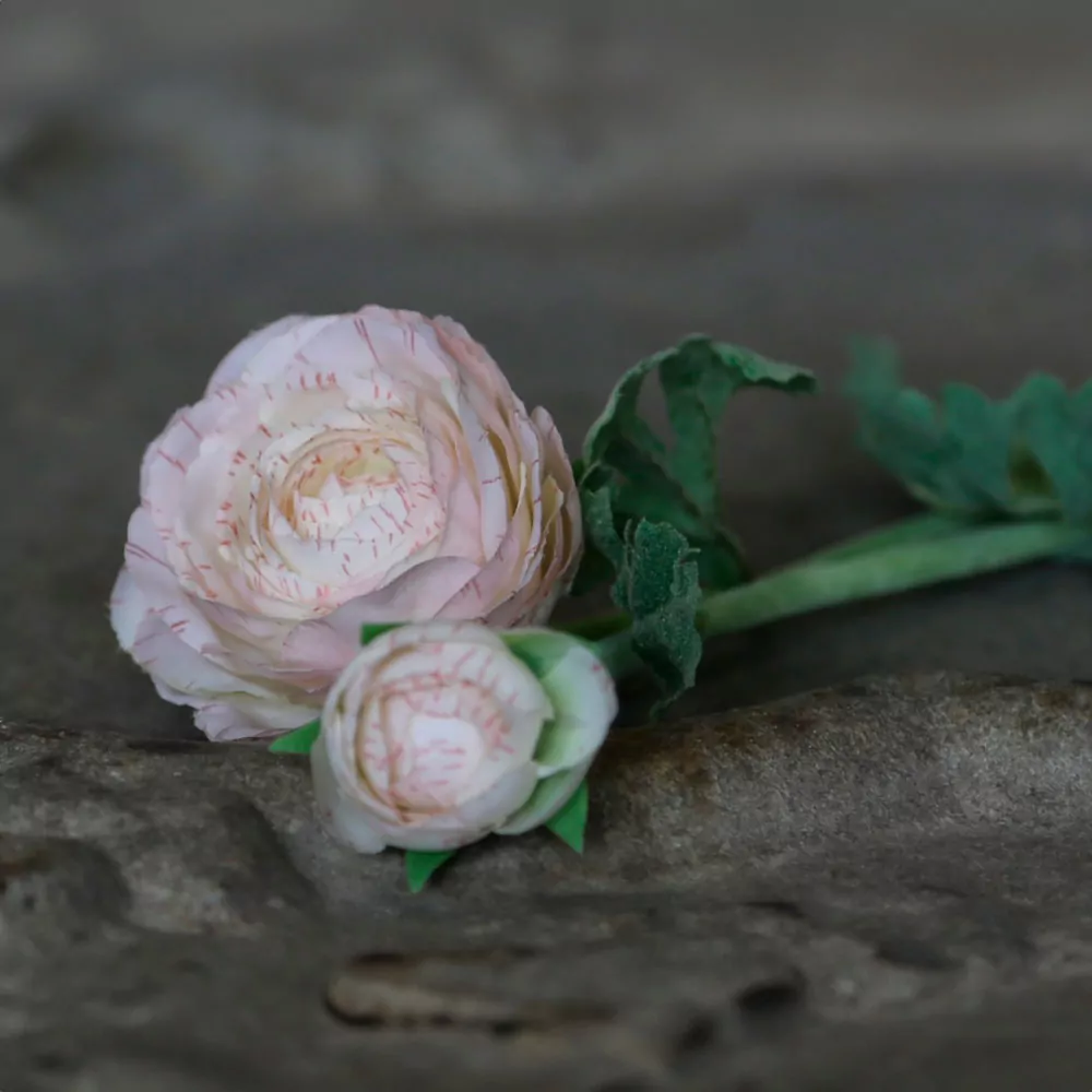 FLEUR Ranunkel antik hvid