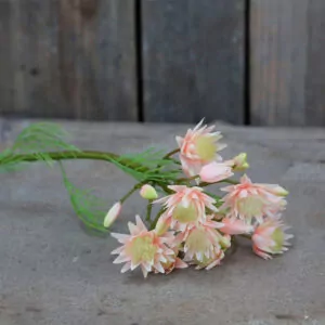 FLEUR Grøftekantsblomst rosa
