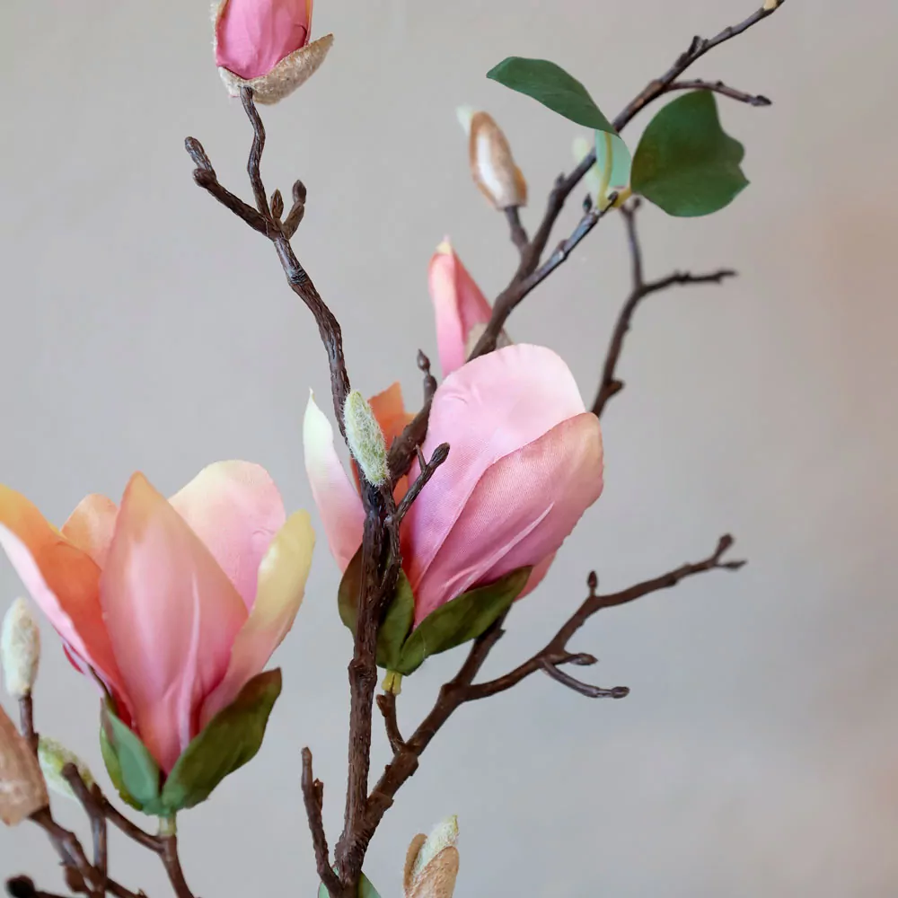 FLEUR Magnolia gammel rosa