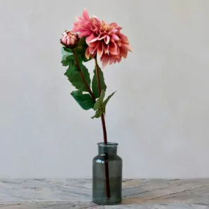 FLEUR Dahlia gammel rosa