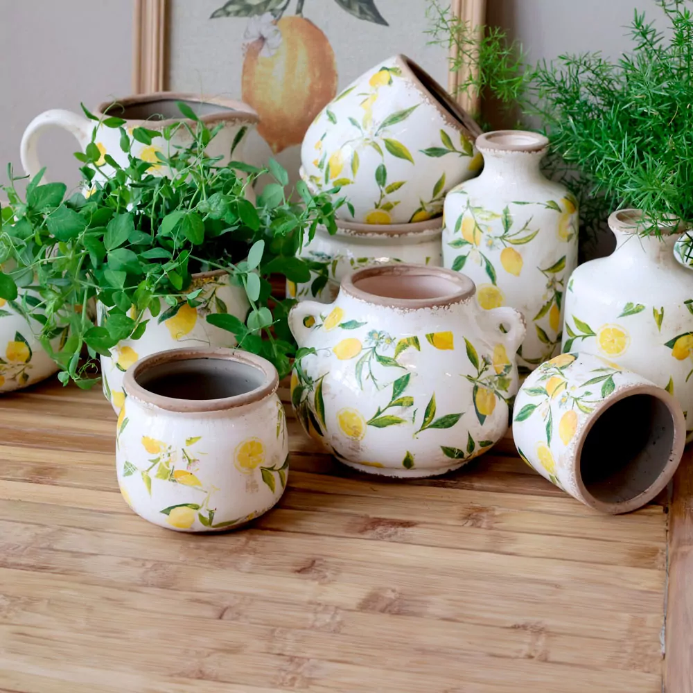 LIMONE Kande m. citroner