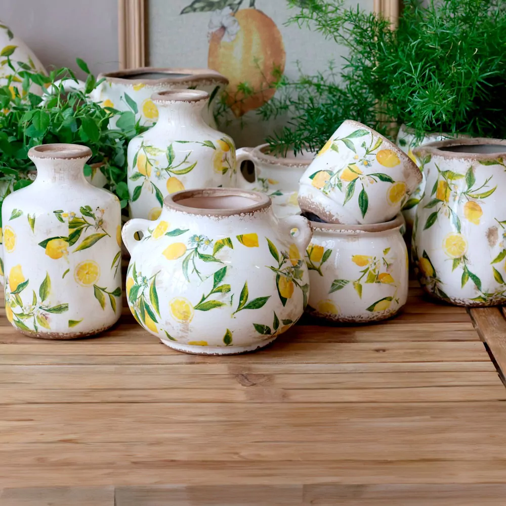 LIMONE Kande m. citroner