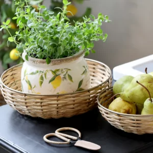 citron krukke