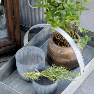 zinkbakke med planter