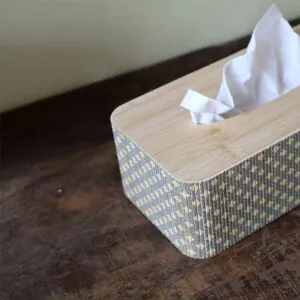 æske til kleenex