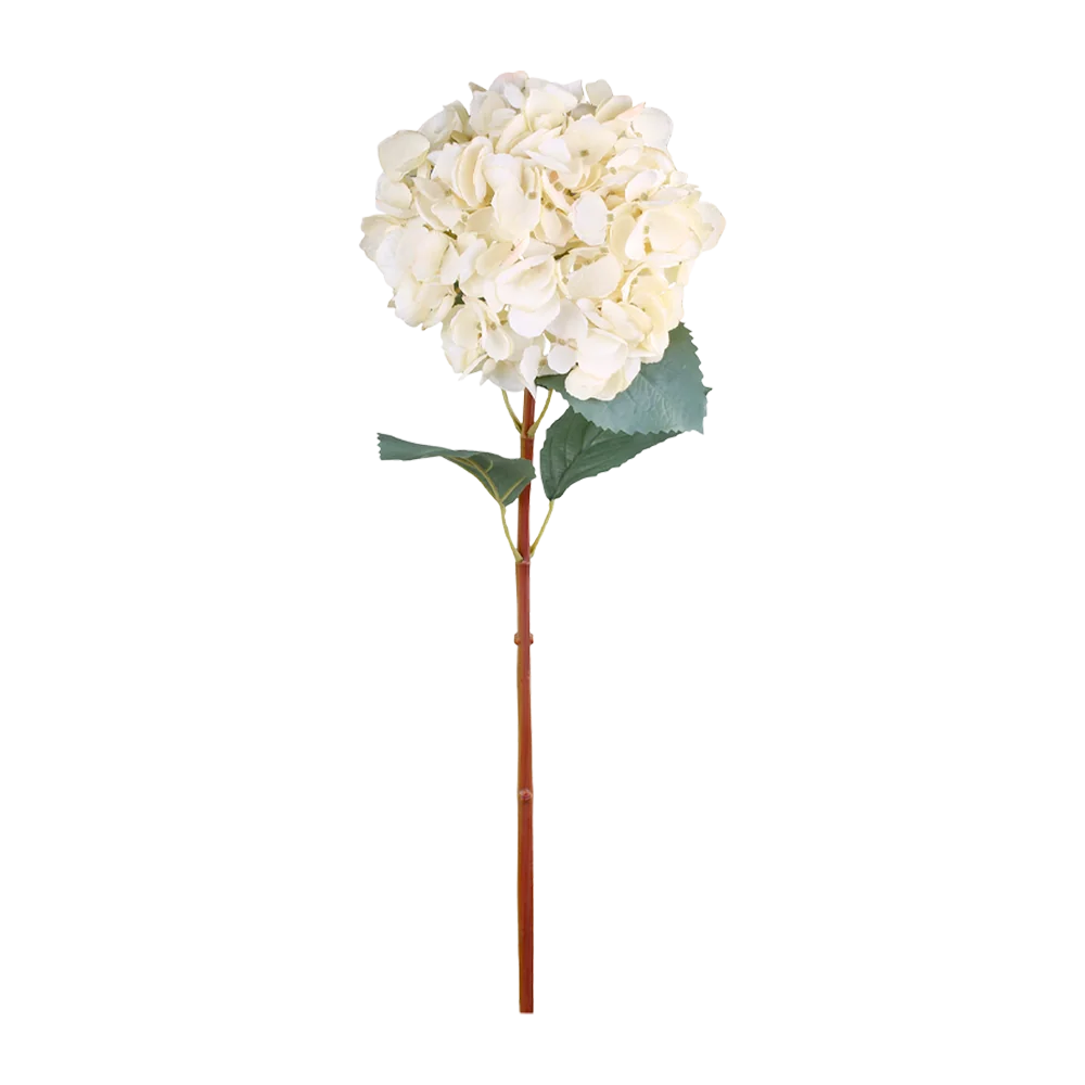 Chic Antique Fleur Hortensia creme