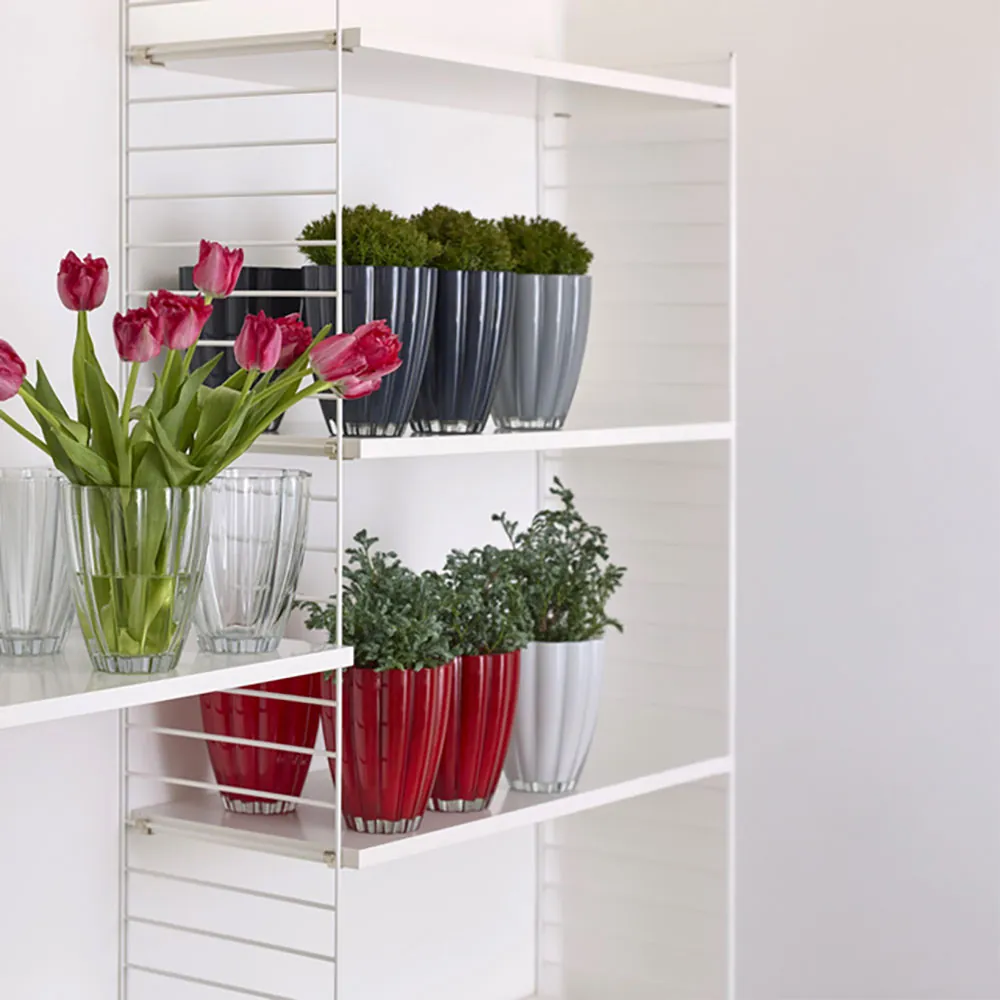 Reaol med Edelweiss ANNELI glasvase med blomster